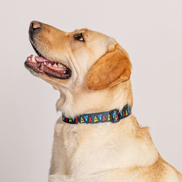 Star Trek Deltas Haustierhalsband