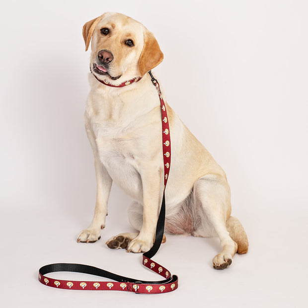 Star Trek: The Next Generation Command Pet Leine