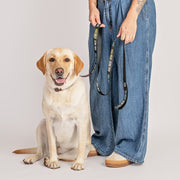 Star Trek: The Original Series Logo Haustierleine