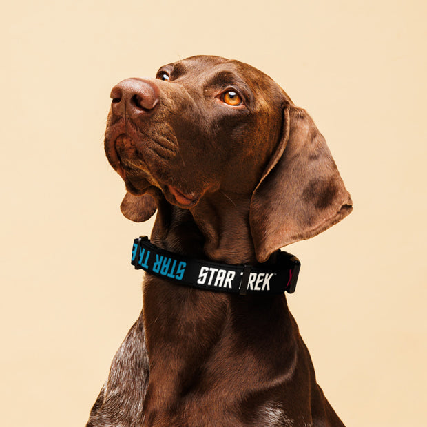 Star Trek: The Original Series Collier pour animaux de compagnie avec logo